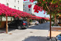 APARTMENT DE LA COSTA 2 - 600m. from the sea