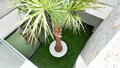 Villa Palmera with private heated pool and jacuzzi