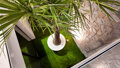Villa Palmera with private heated pool and jacuzzi