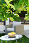 LEMON TREE - with private terrace