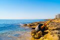 Sea Front - apartament z widokiem na morze 
