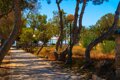 Sea Front - apartament z widokiem na morze 